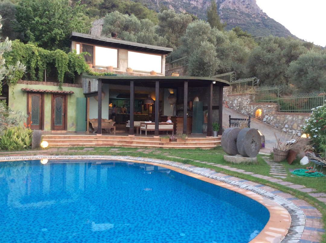 Antik Zeytin Hotel & Art