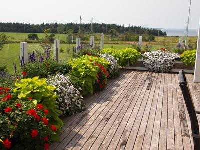 Malpeque Bed and Breakfast主图