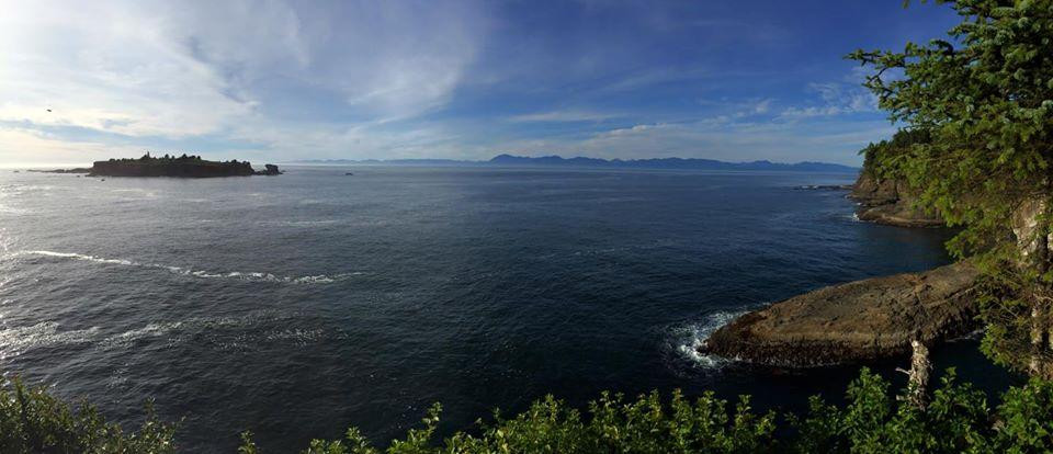 Cape Flattery Trail景点图片