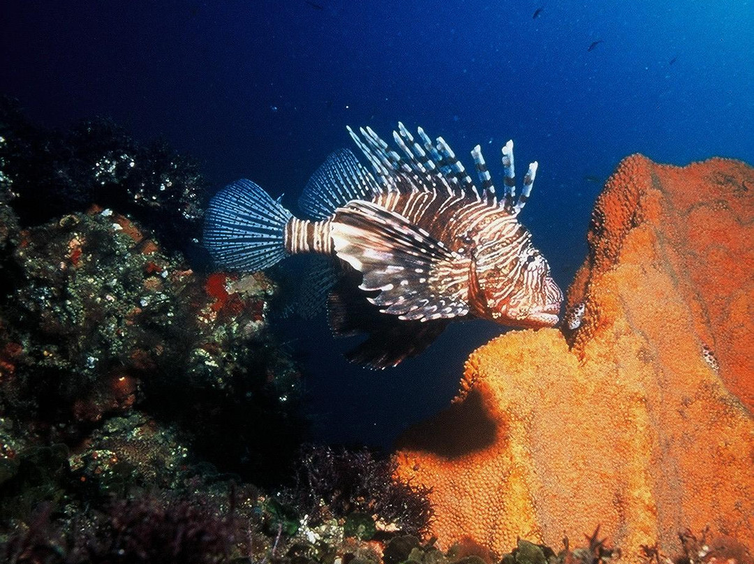 Sea Escapes Sodwana Bay-索德瓦纳必去景点