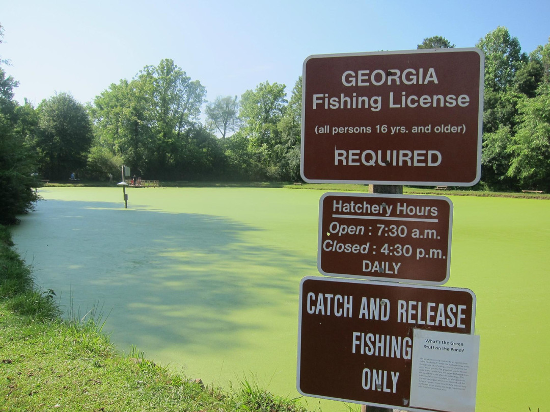 Buford Trout Hatchery-卡明必去景点