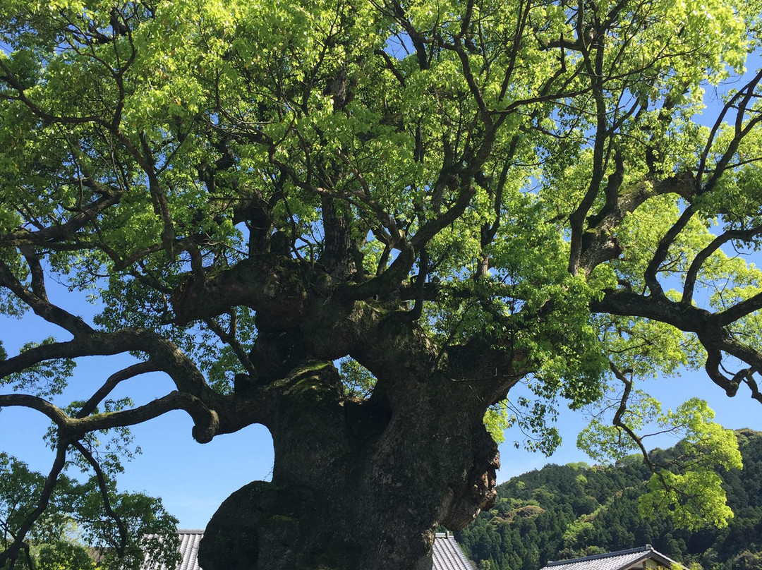 Kawagono Okusu-武雄市必去景点