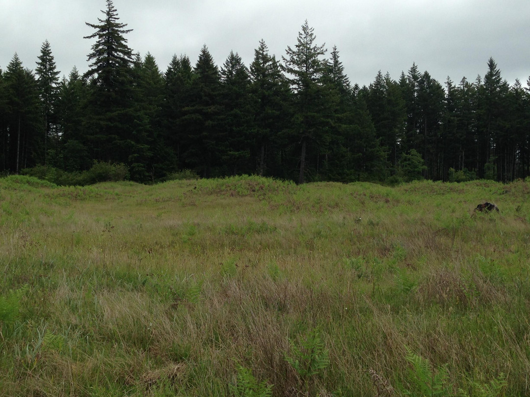 Mima Mounds Natural Area Preserve-奥林匹亚必去景点