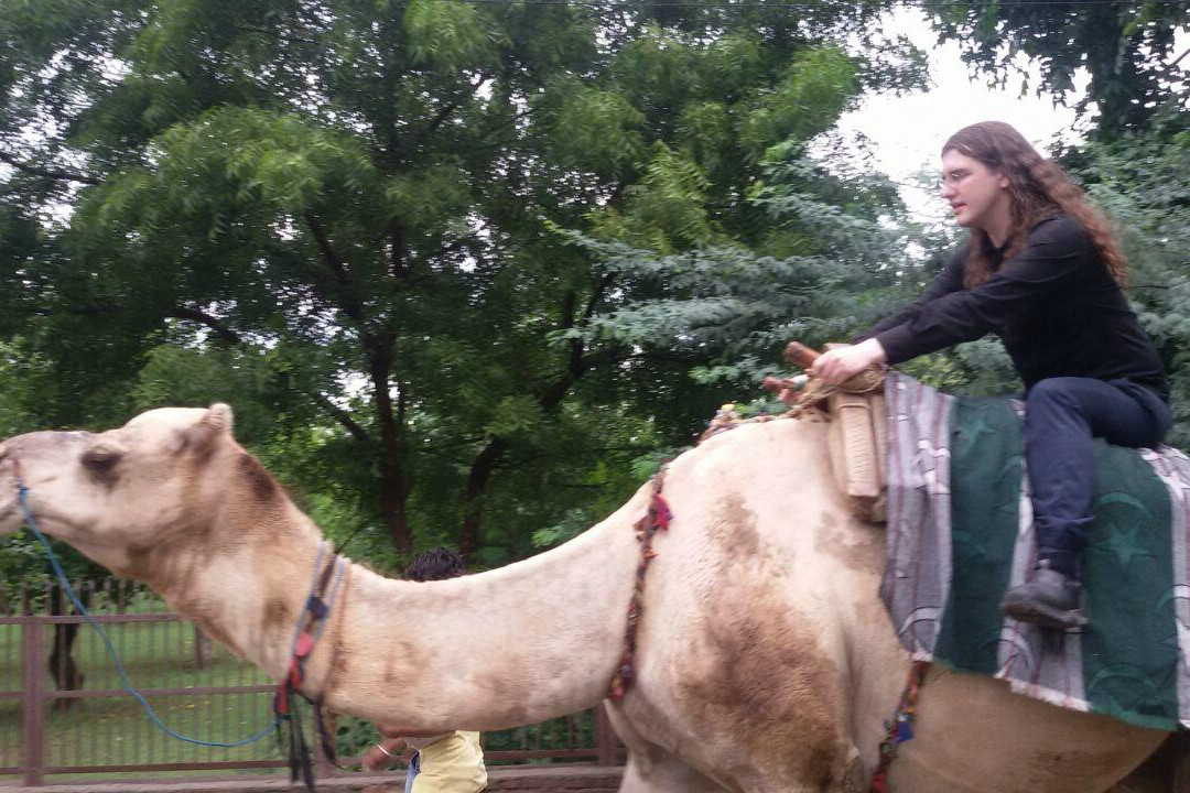 Unisafe Tours-阿格拉必去景点