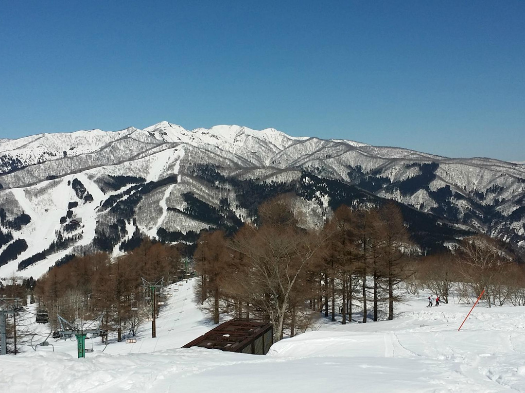 Snow Wave Park Shiratori Kogen-郡上市必去景点