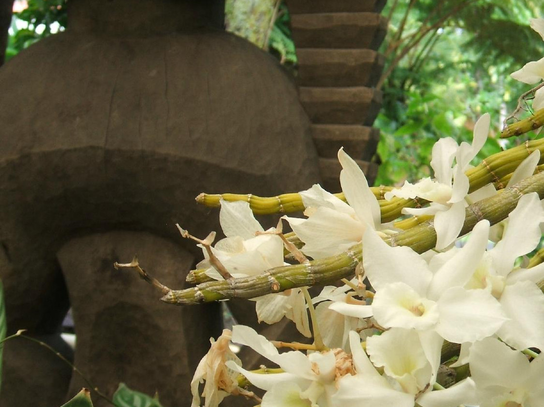 那尼马乌花园-希洛必去景点