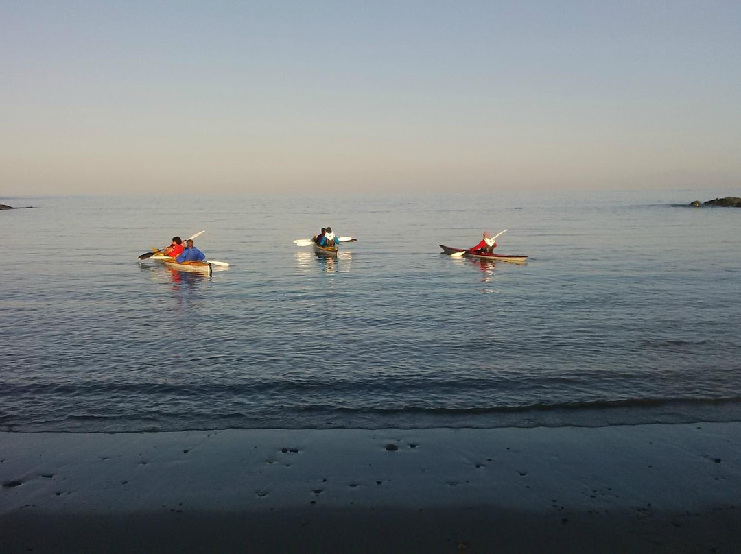 Black Pearl Adventures - Day Tours-高登湾必去景点