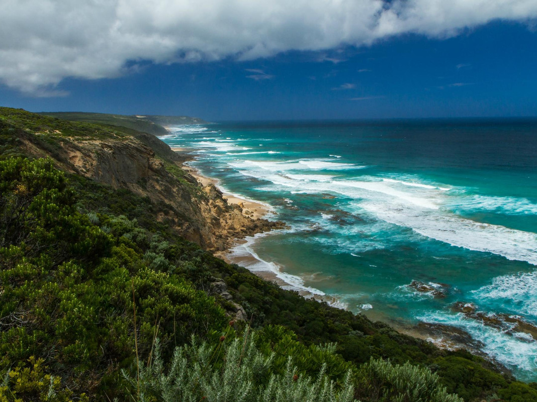 Auswalk Walking Holidays-墨尔本必去景点