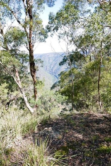 Badgerys Lookout-Tallong必去景点