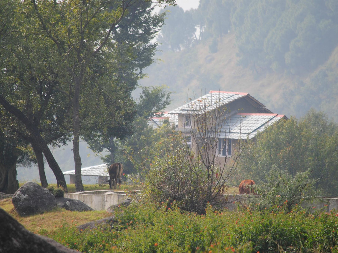 Linger - The Earth House, Palampur