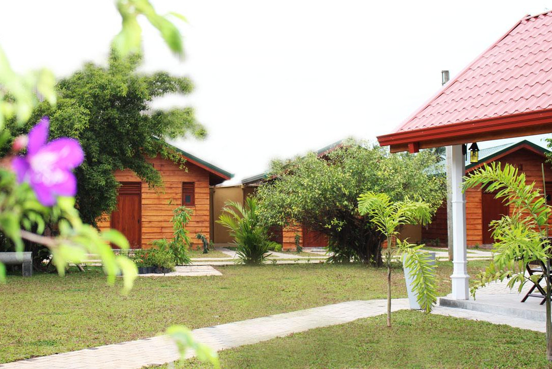 Woodland Cottage