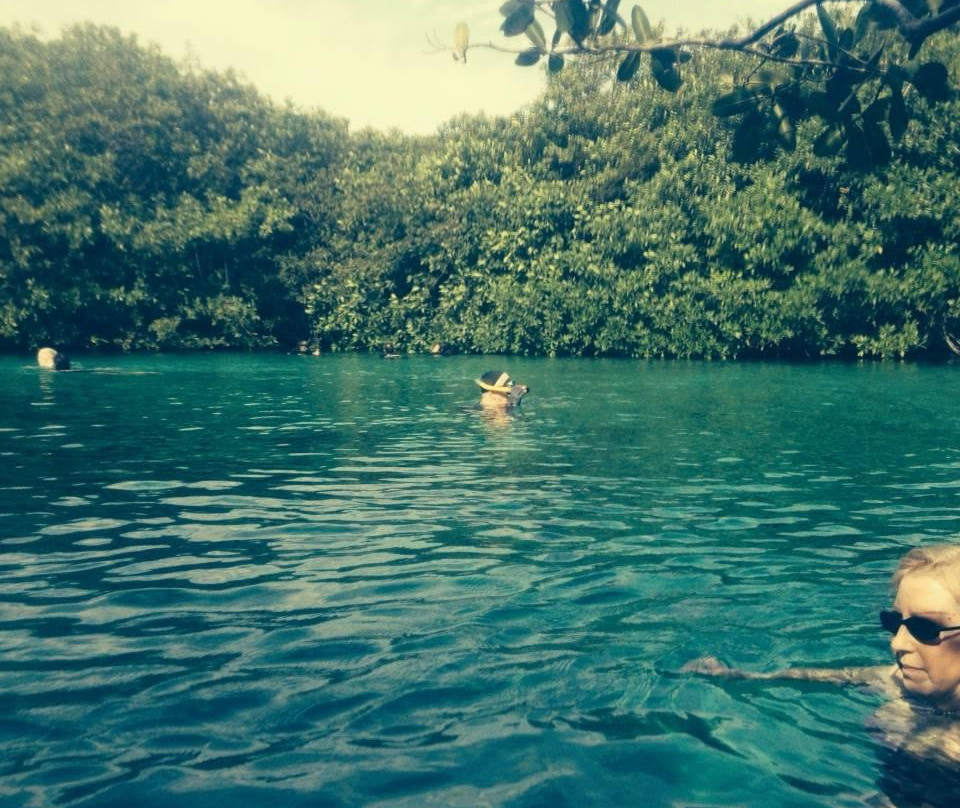 Casa Cenote-图伦必去景点