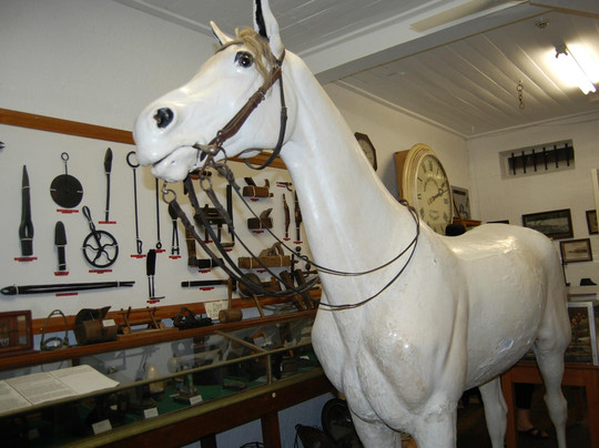 Singleton Historical Society & Museum Inc-Singleton必去景点