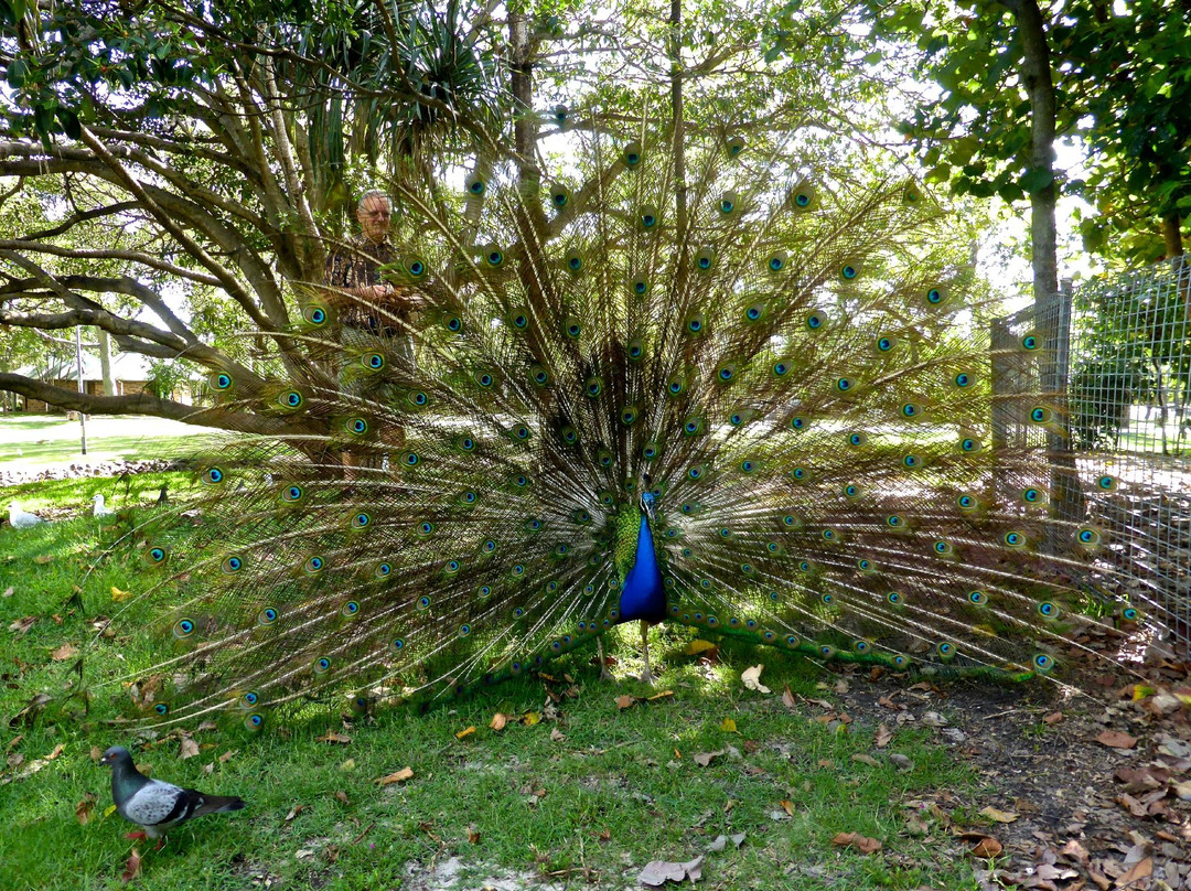 Les Rodgers Memorial Park-冲浪者天堂必去景点