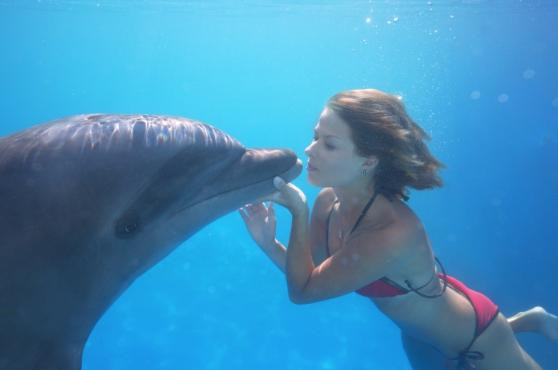 Cabo Adventures-卡波圣卢卡斯必去景点