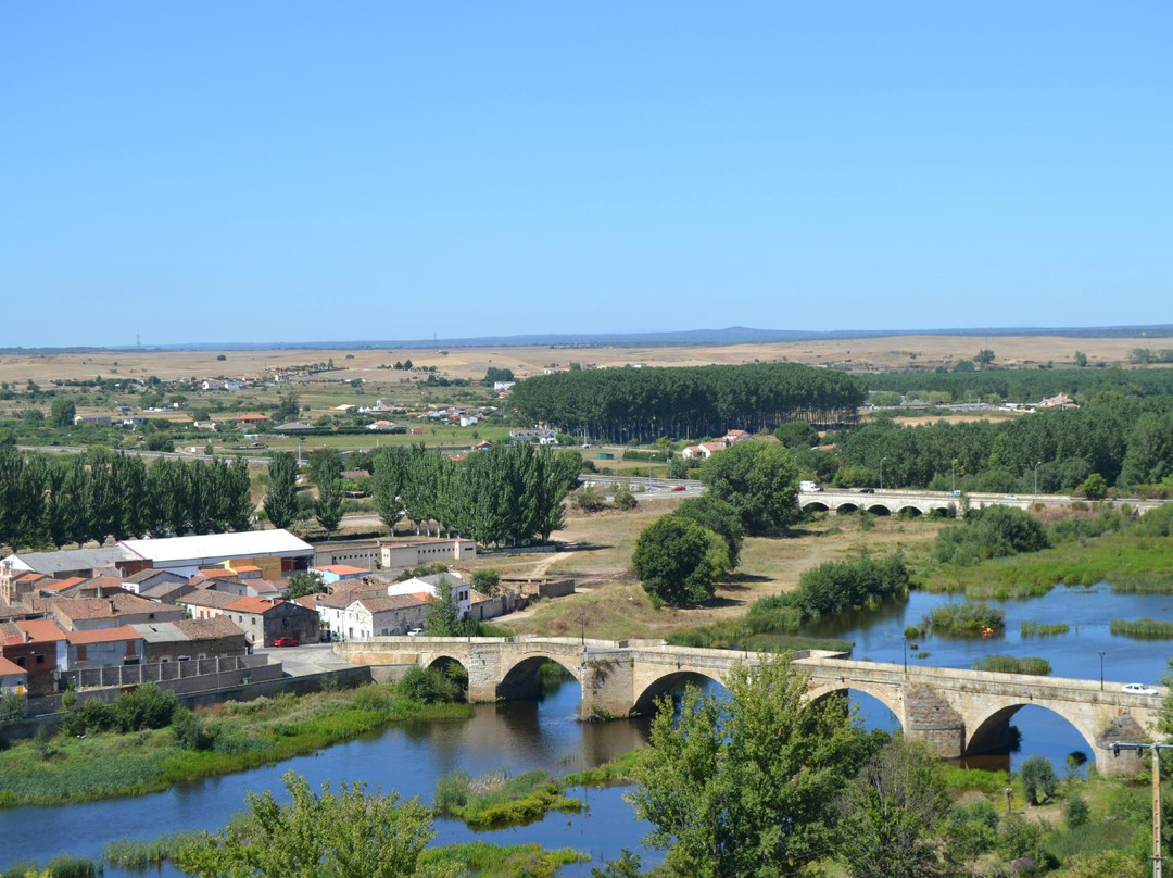 Ciudad Rodrigo - Casco Historico景点图片