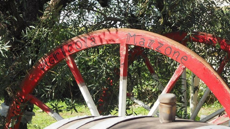 Azienda Agricola Mazzone