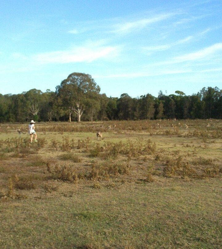 Coombabah Lakes Conservation Area-Coombabah必去景点