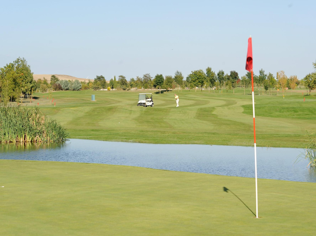 Campo De Golf Riocerezo景点图片