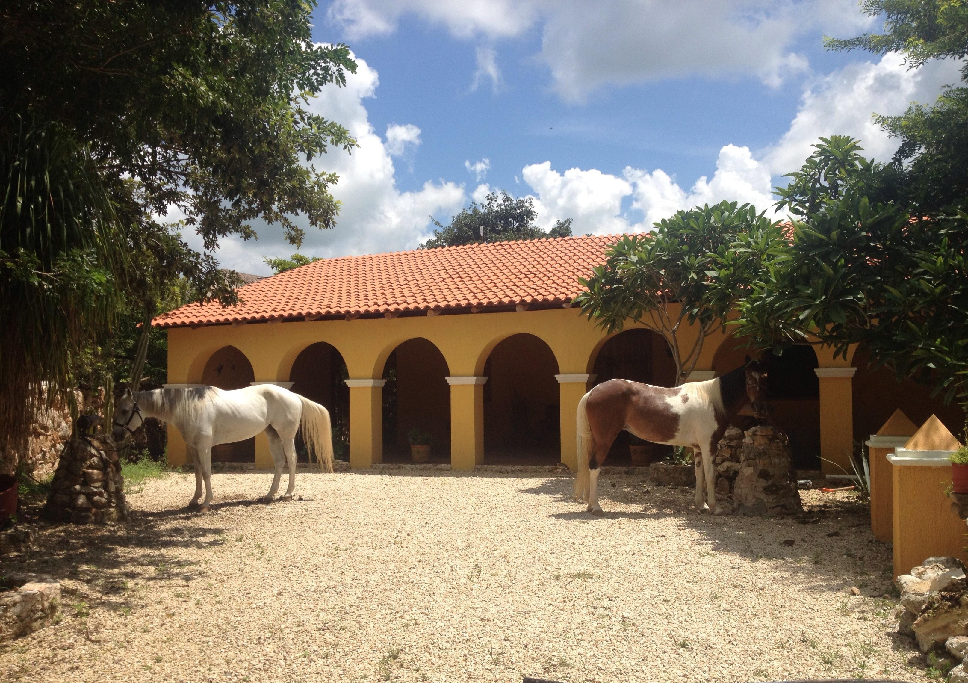 Finca La Caprichozza-官方