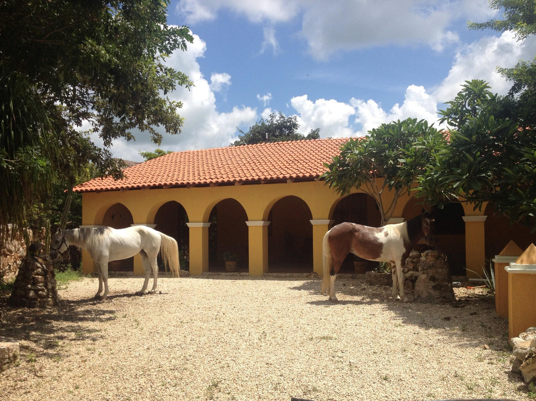 Chicxulub Municipality酒店住宿-Finca La Caprichozza