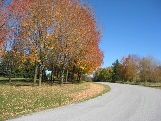 Milne Dam Conservation Park-万锦市必去景点