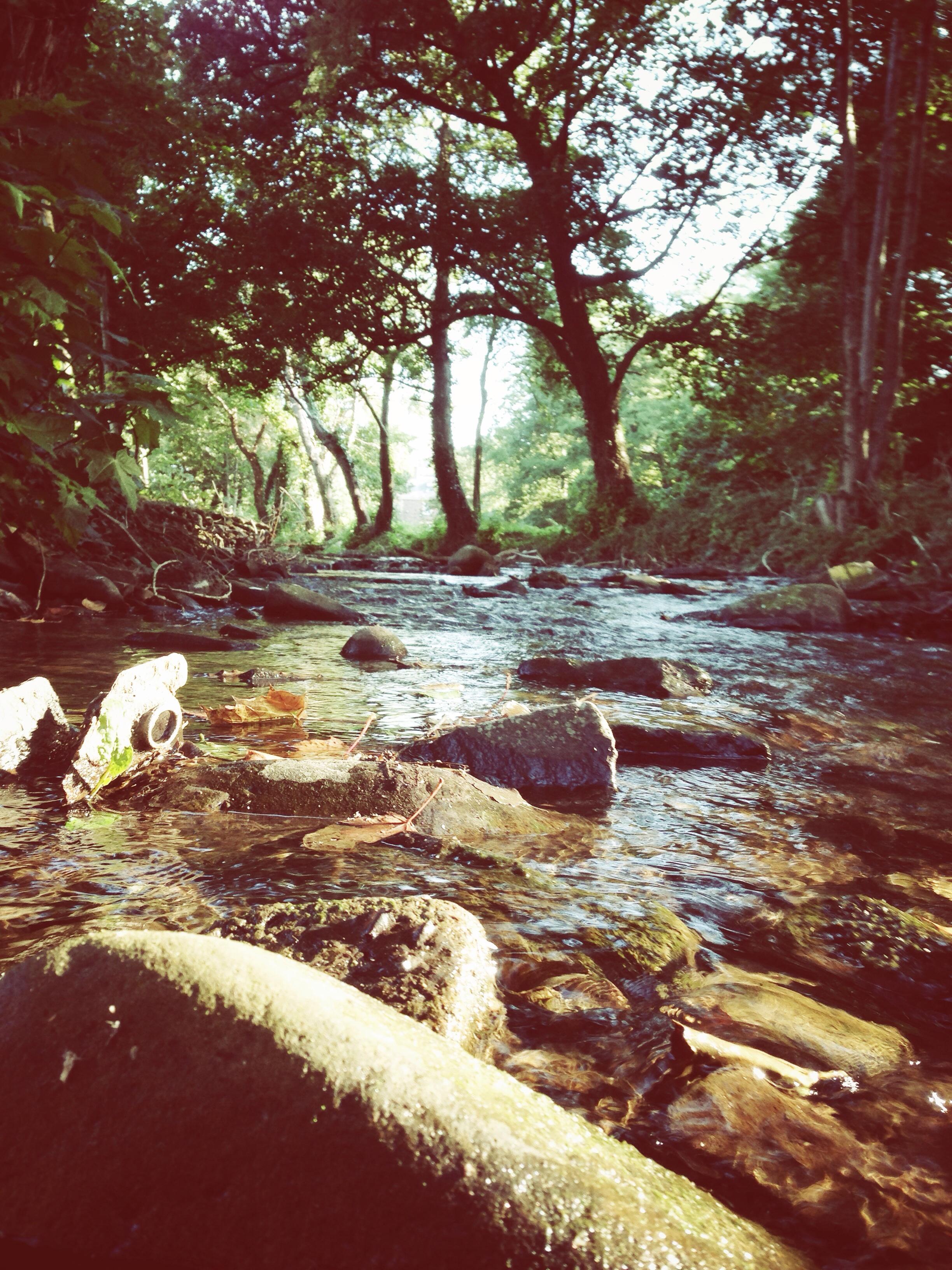 黑狮宾馆-酒店景观