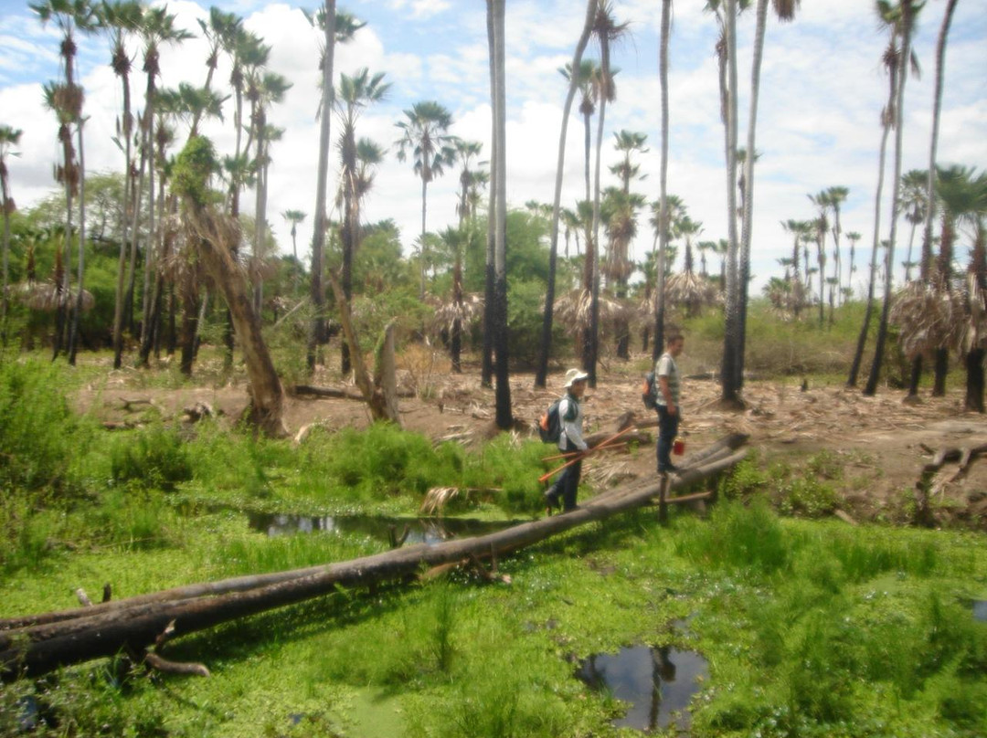 Ipanguacu旅游攻略图片