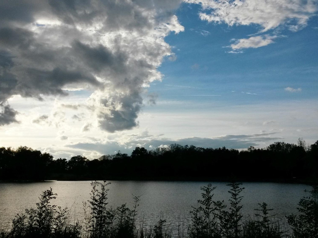 Mionnay旅游攻略图片