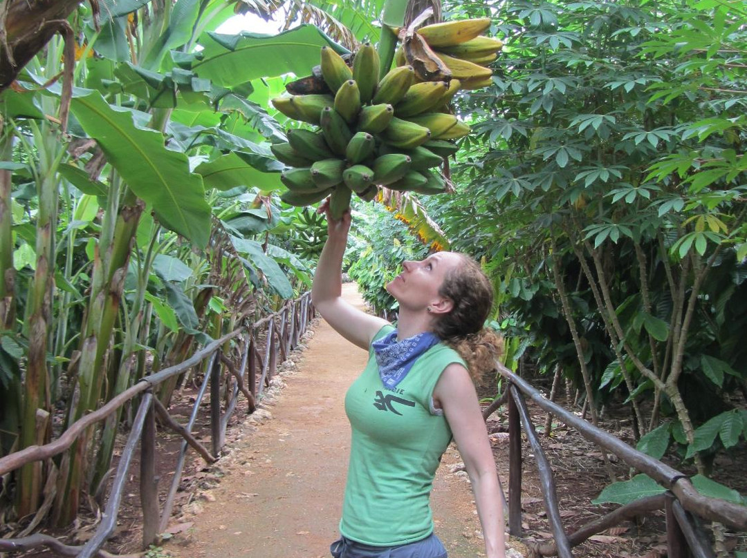 Eco-Museo de Cocoa-Oxkutzcab必去景点