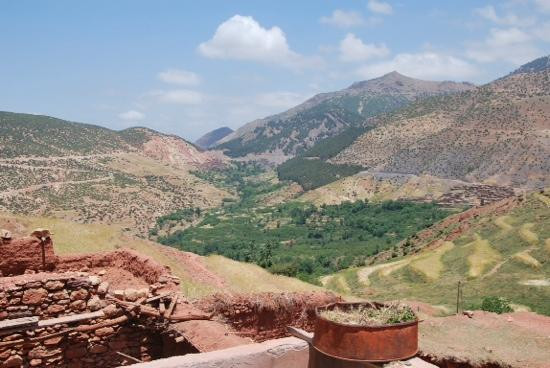 4X4骆驼——私人一日游-马拉喀什必去景点