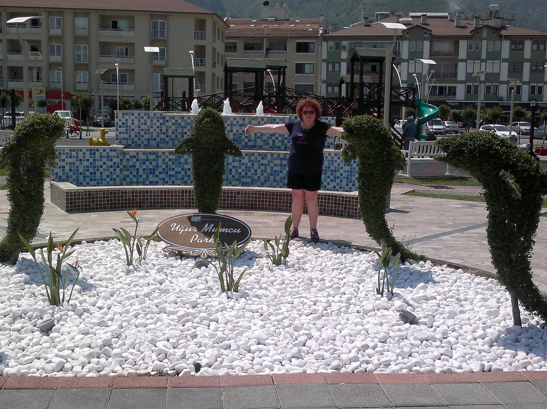 Fethiye Limanı景点图片