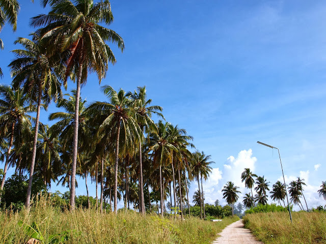 Dacha Maldives主图