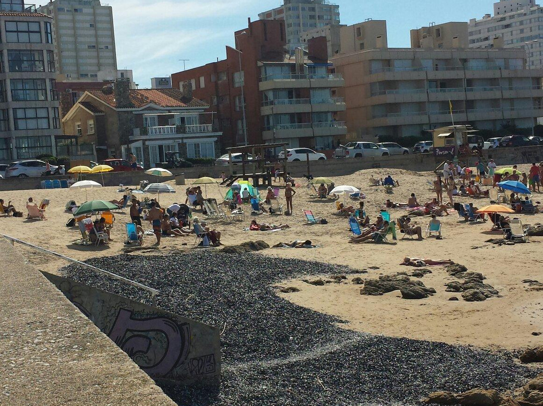 Playa Brava-埃斯特角城必去景点