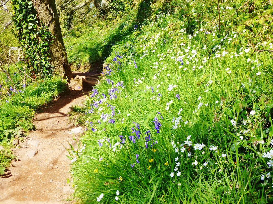 Slapton Ley Field Centre-Slapton必去景点
