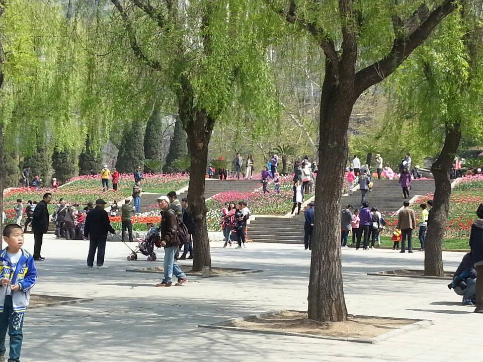 劳动公园-大连市必去景点