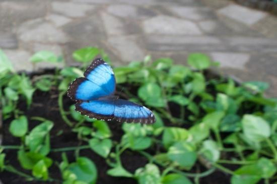 Botanisches Garten des Universitaets-里加必去景点
