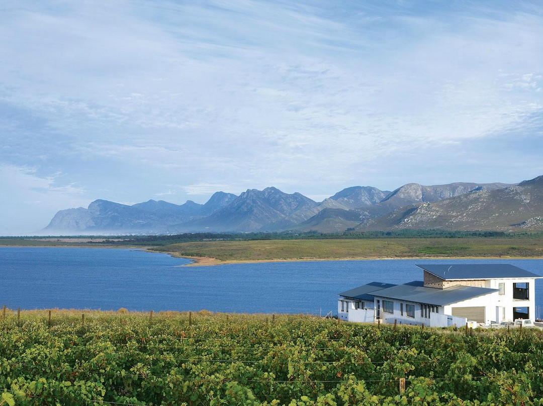Benguela Cove Lagoon Wine Estate-赫曼努斯必去景点