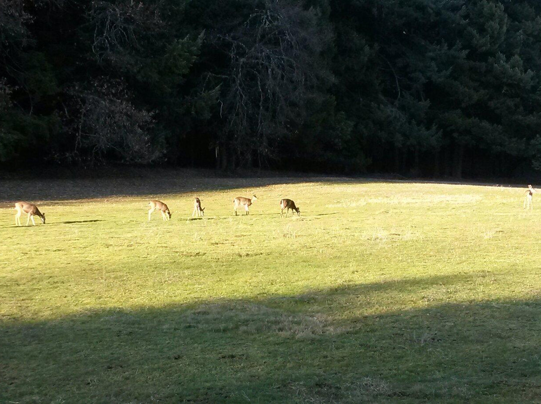 Rogue River-梅德福必去景点