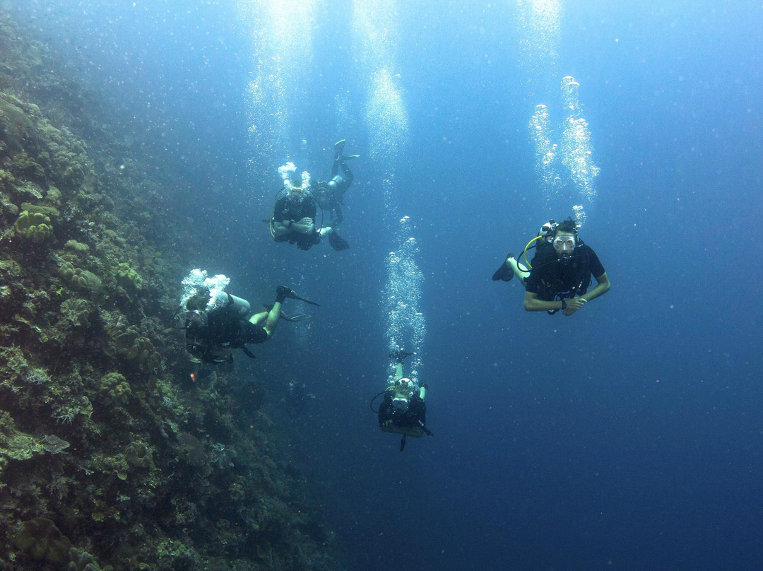Aquatica Dive Resort景点图片