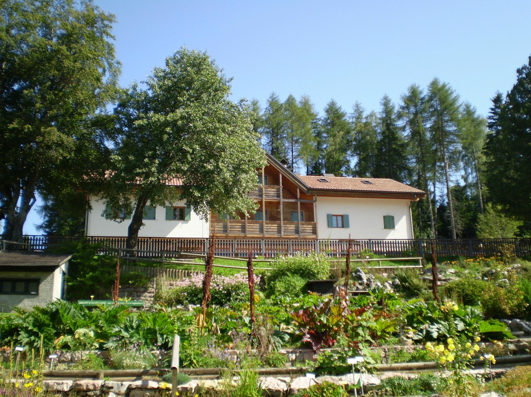 Giardino Botanico Alpino Viote di Monte Bondone景点图片