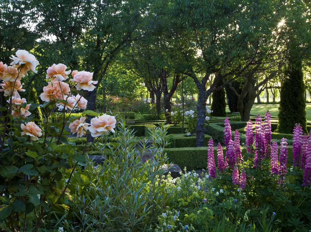 Frensham Gardens景点图片