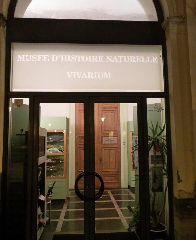 Musée d'Histoire Naturelle et Vivarium景点图片