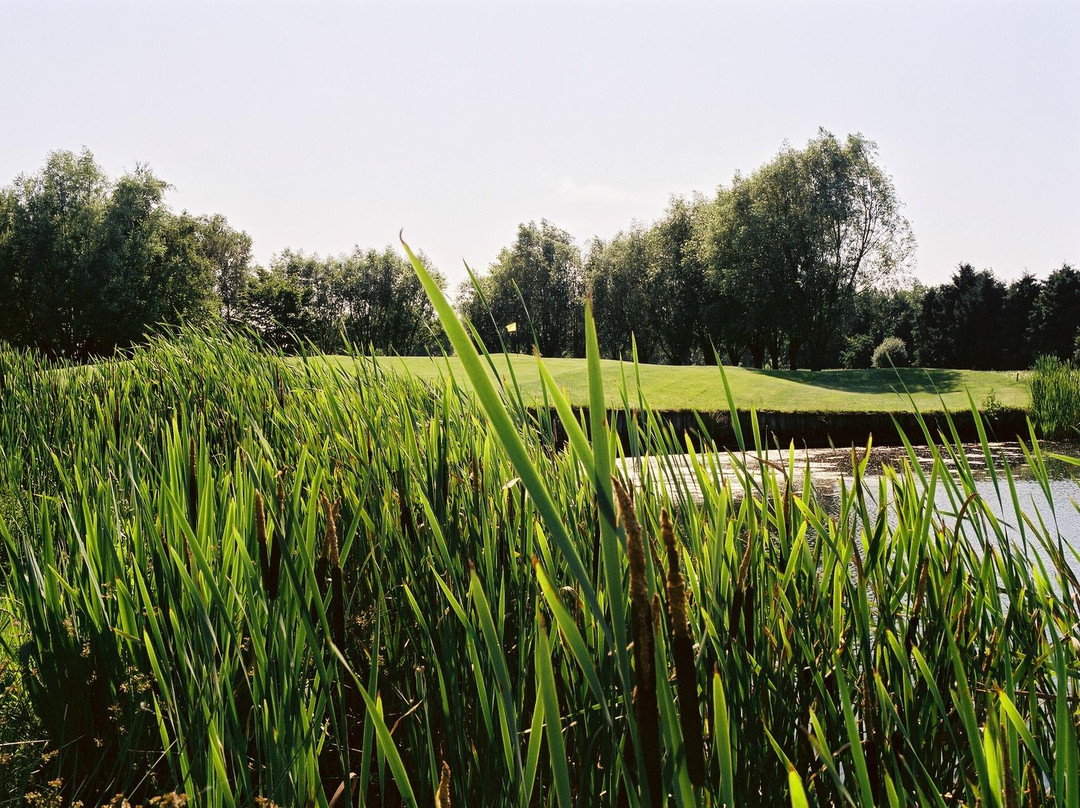 Damme Golf & Country Club景点图片