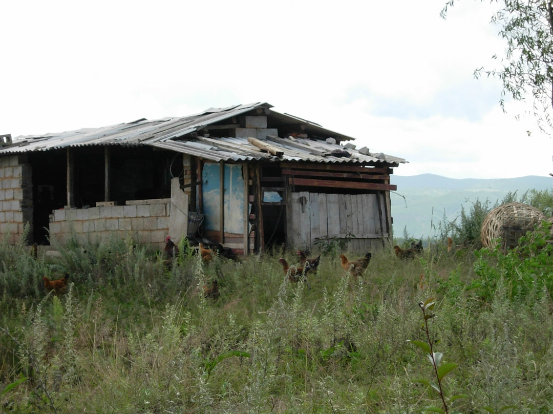 拉市海-丽江市必去景点