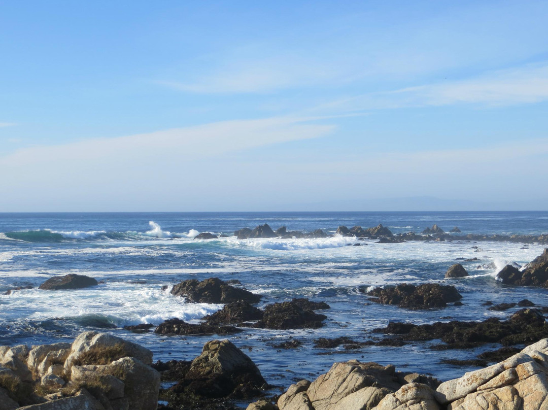 17英里路-蒙特雷必去景点