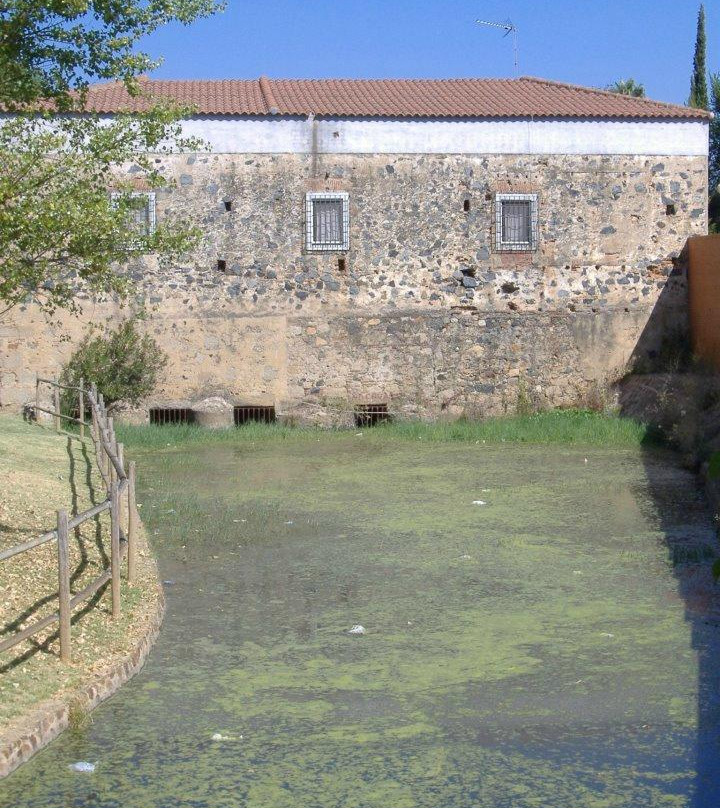 Molino de Pancaliente景点图片