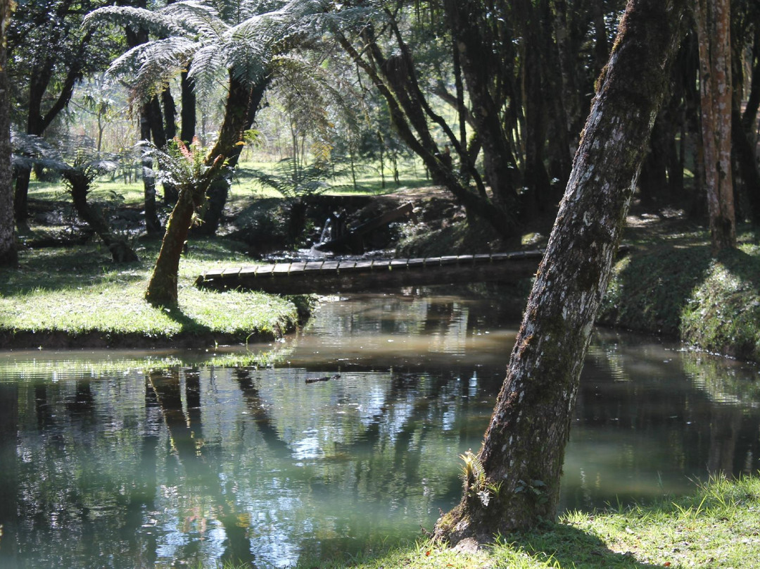 Adrianopolis旅游景点-Parque Estadual de Campinhos
