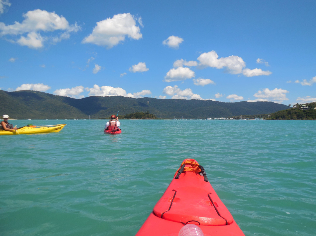 Salty Dog Sea Kayaking - Day Tours-舒特港必去景点