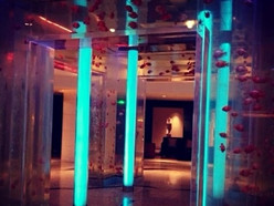 Gallery 2